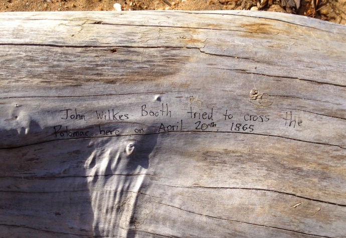 Dents Writing on the log 1